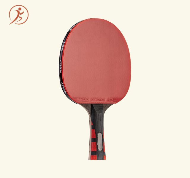 STIGA Evolution Performance Ping Pong Paddle