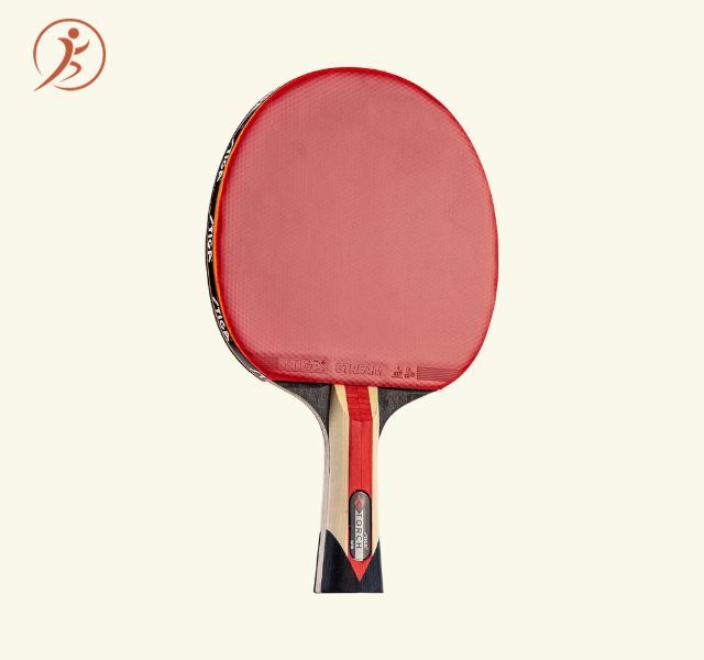 STIGA Torch Ping Pong Paddle