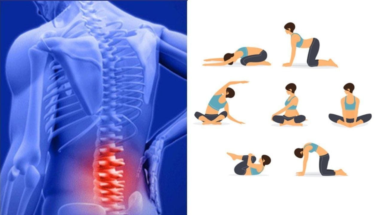 Exercise For Tailbone Pain Relief