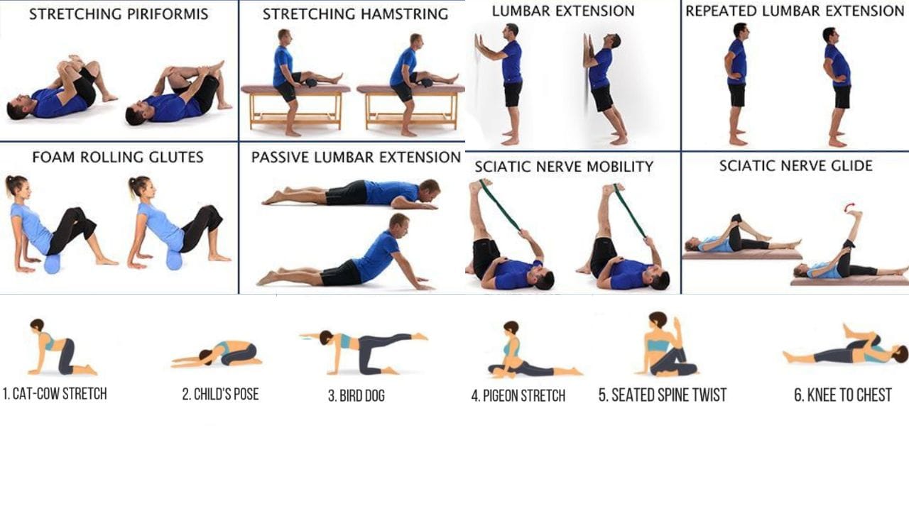 Sciatica Stretches