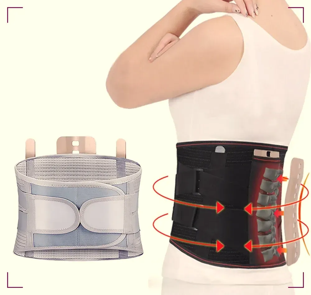 Back Support Belt