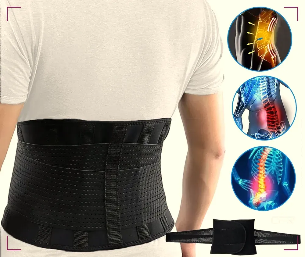 Back Support Belt