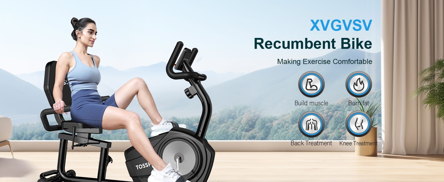 Recumbent Exercise Bike