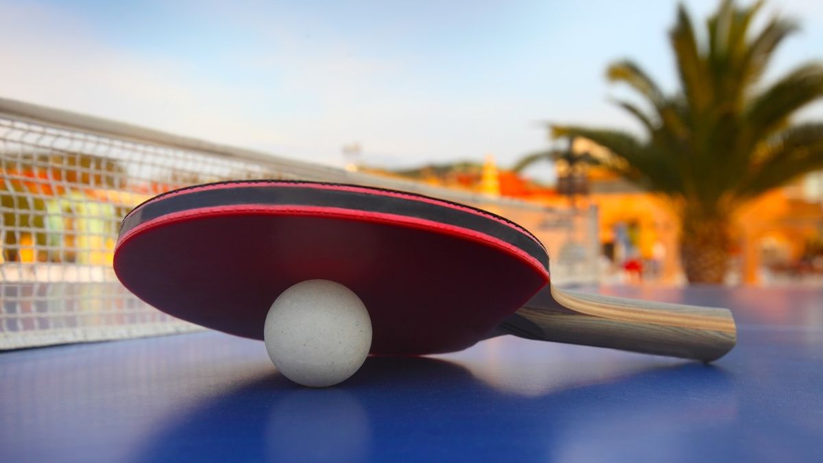 Table Tennis Game: The Ultimate Ping-Pong Pursuit!