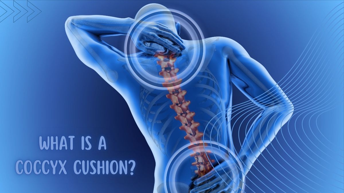 What Is A Coccyx Cushion?