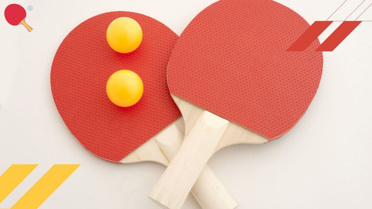 Best Budget Ping Pong Paddle