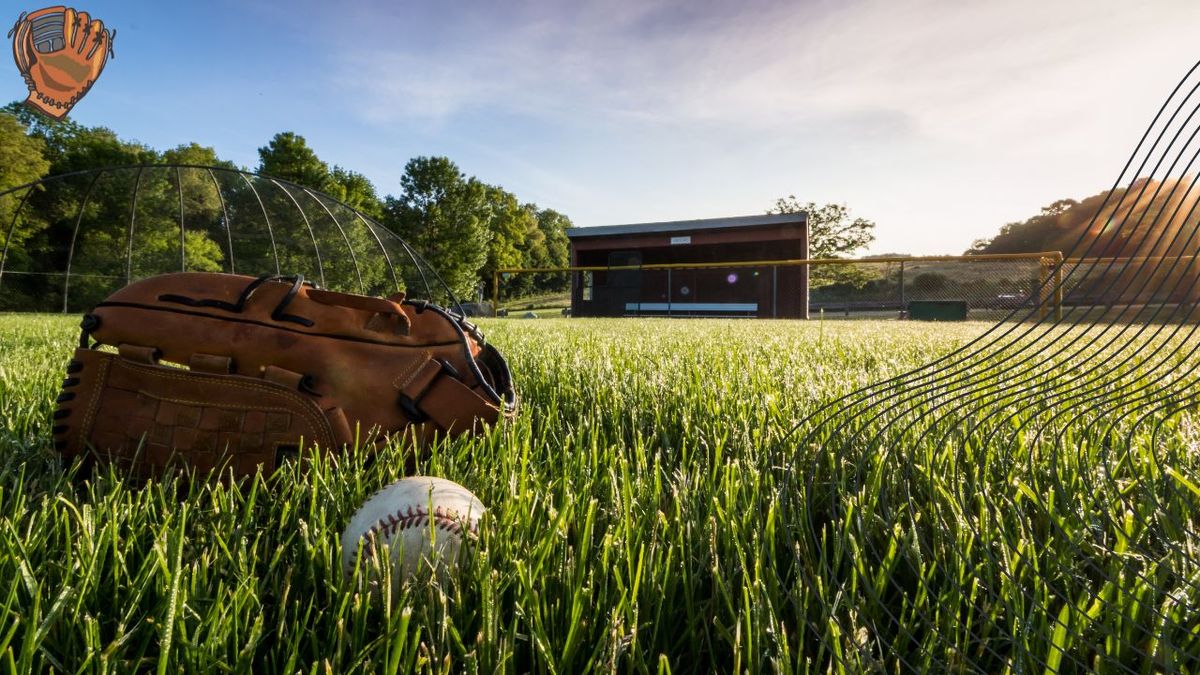 Unearthing the Outfield Baseball Gloves for Spectacular Catches