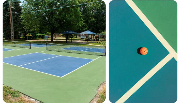 Pickleball Net