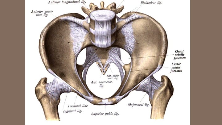 Lesser Sciatic Notch