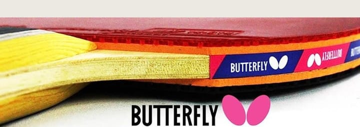 Butterfly Table Tennis